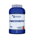 Scientiffic Nutrition Recovery Endurance 1kg Fresa-Kiwi