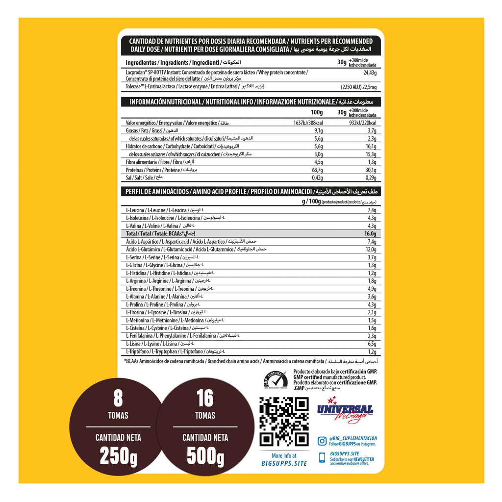 BIG - Proteinas Whey - Proteina en Polvo para Desarrollo de Masa Muscular y Recuperación - Materia Prima Premium - Whey Protein Sin Lactosa, Sin Azúcar, Sin Grumos (2Kg, Cacaolat)