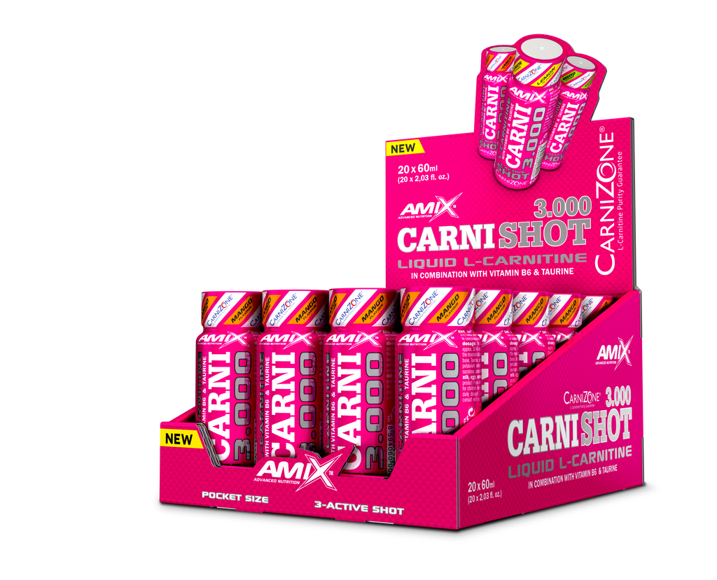 CARNISHOT 3000 20*60 ML Mojito