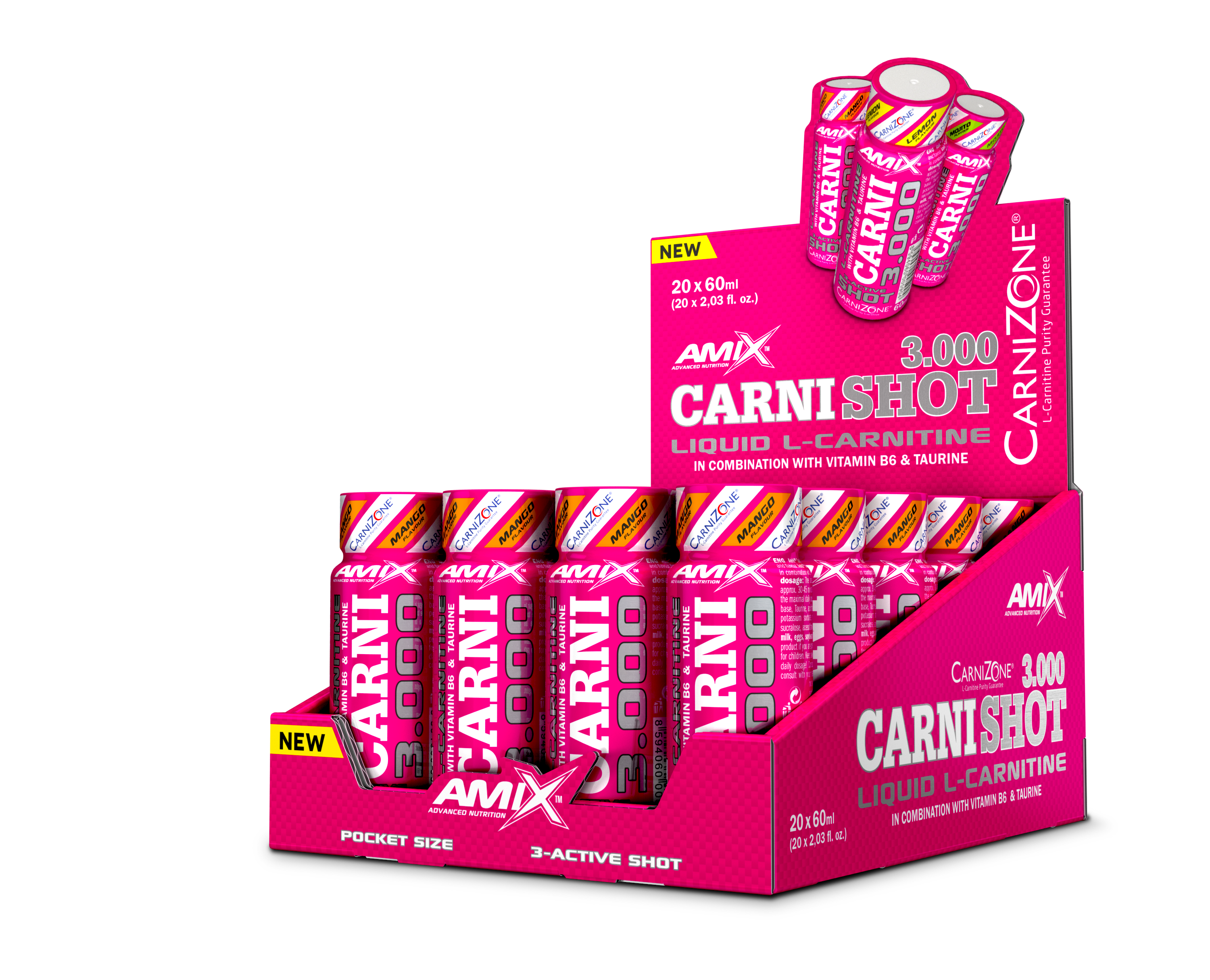 CARNISHOT 3000 20*60 ML Mojito