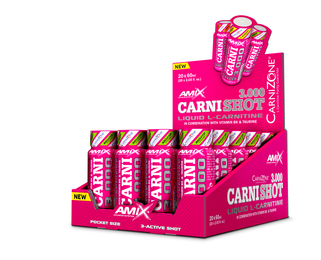 CARNISHOT 3000 20*60 ML Mojito
