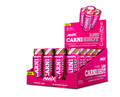 CARNISHOT 3000 20*60 ML Mojito