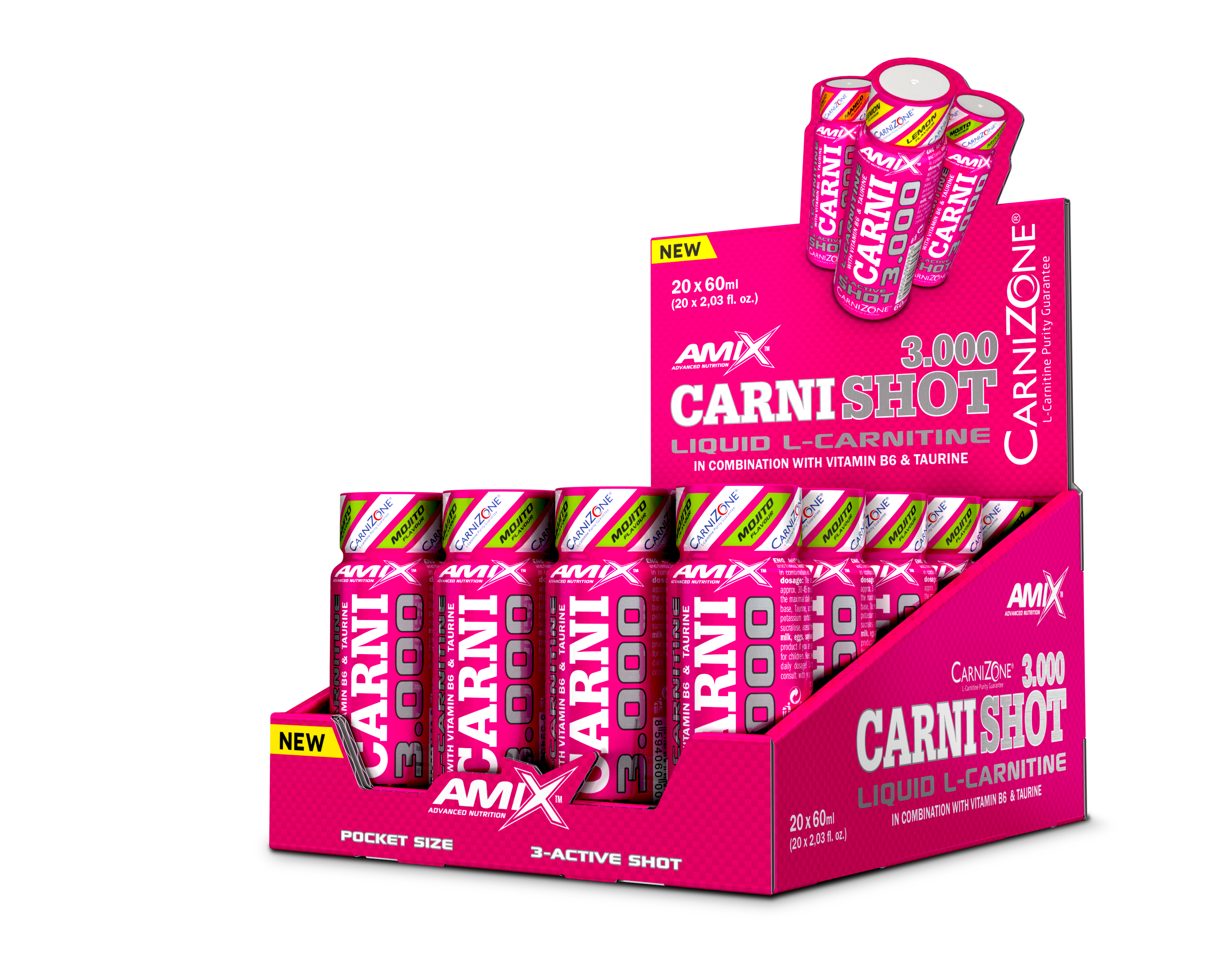 CARNISHOT 3000 20*60 ML Mojito