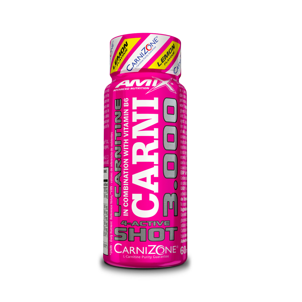 CARNISHOT 3000 20*60 ML Mojito
