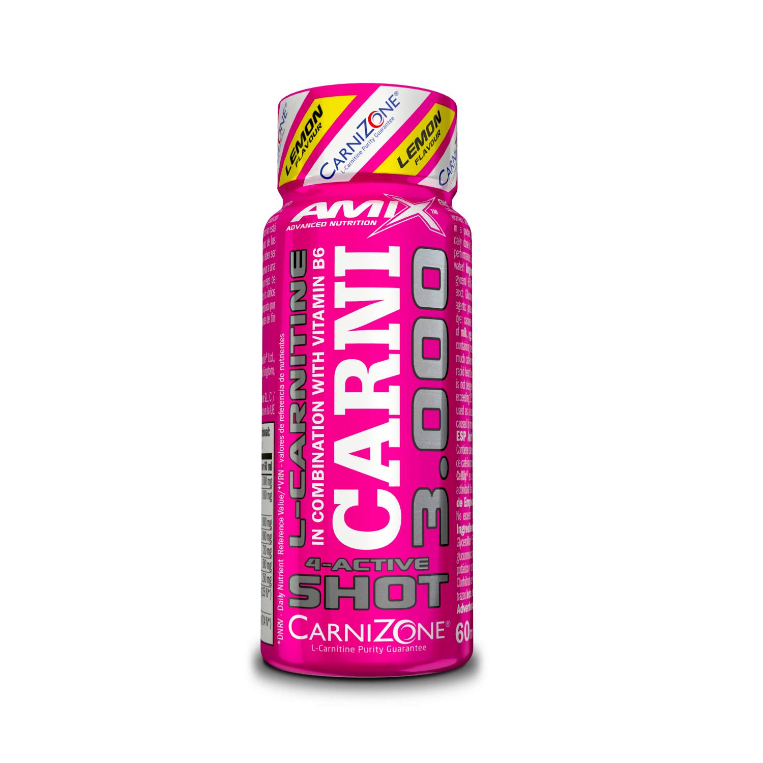 CARNISHOT 3000 20*60 ML Mojito