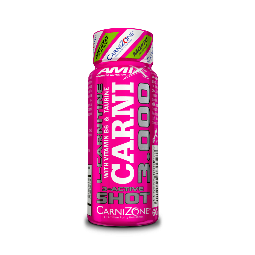 CARNISHOT 3000 20*60 ML Mojito