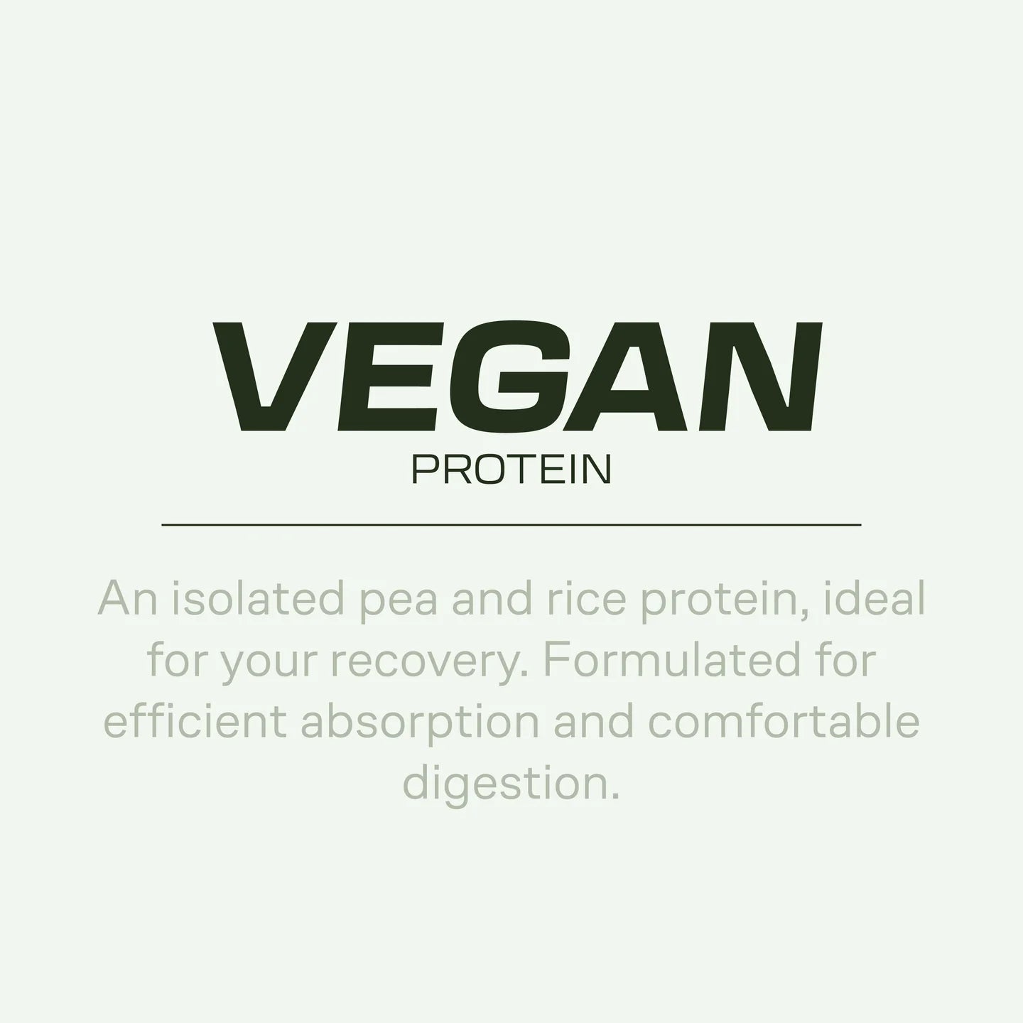 PROTEINS - VEGAN DELICATESSE - Choco Cookies  REBRANDING!!!