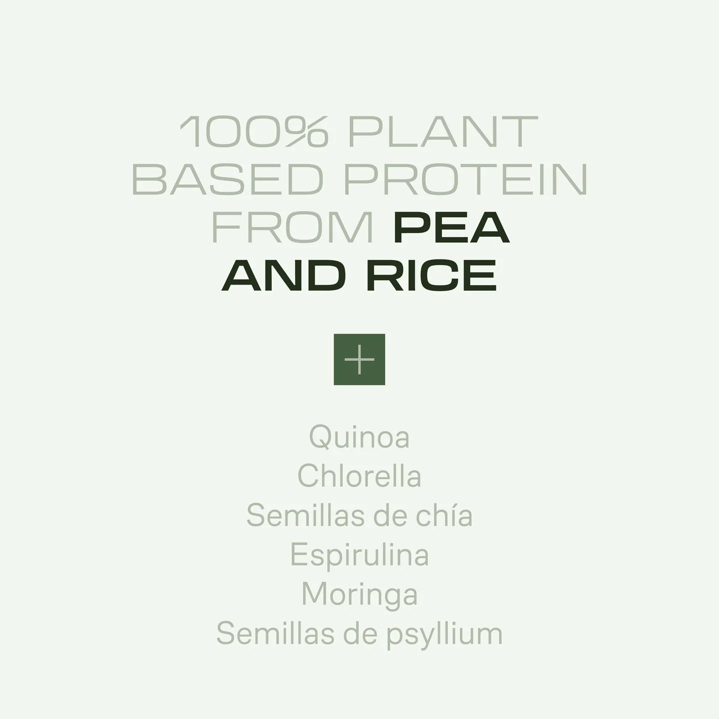 PROTEINS - VEGAN DELICATESSE - Choco Cookies  REBRANDING!!!