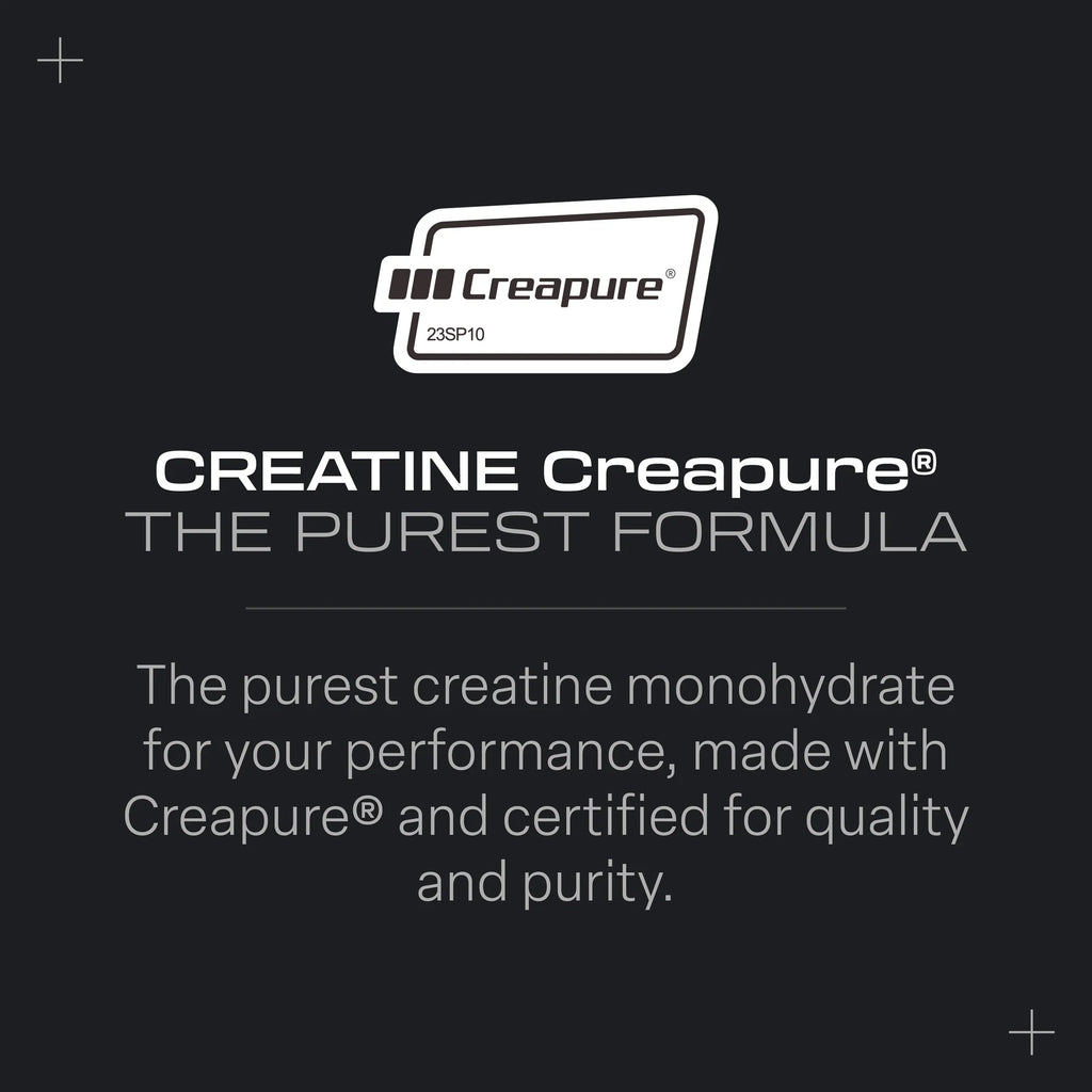 CREATINE & PRE-WORKOUTS - CREATINE Creapure® REBRANDING!!!