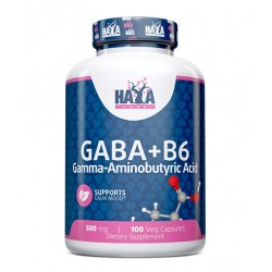 GABA + B-6 - 500mg. - 100 VCaps. - Haya Labs