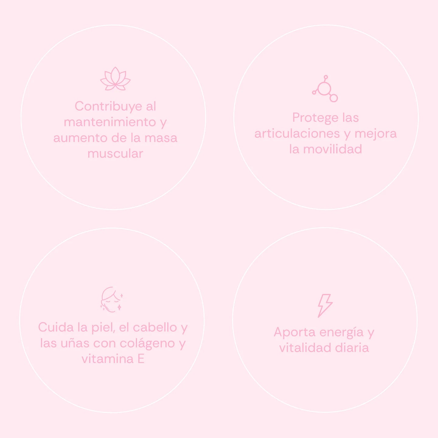 FOR HER - WOMEN PROTEIN SHAKE - Petit Beurre